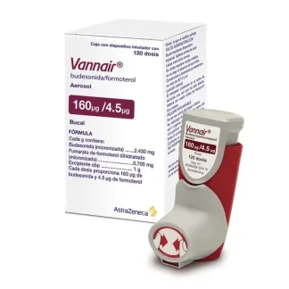 VANNAIR 160/4.5MG AER 120 DOSIS